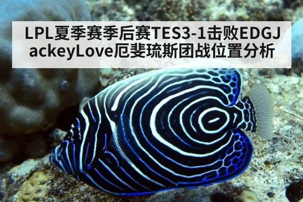 LPL夏季赛季后赛TES3-1击败EDGJackeyLove厄斐琉斯团战位置分析