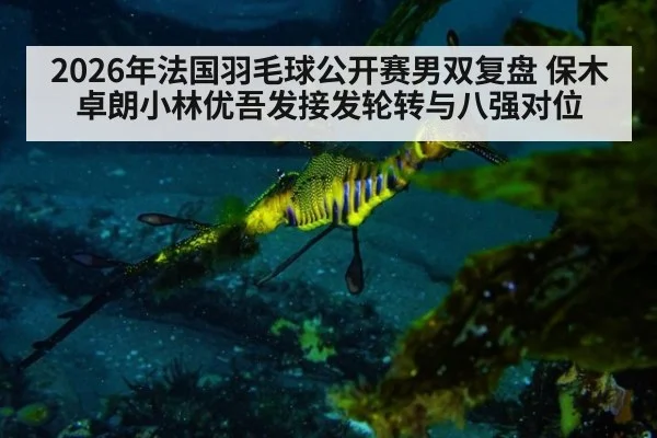2026年法国羽毛球公开赛男双复盘 保木卓朗小林优吾发接发轮转与八强对位 - jiuyouhui